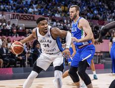 28圈-字母哥迎来七赛季高光表现，法国队球迷沸腾！的简单介绍